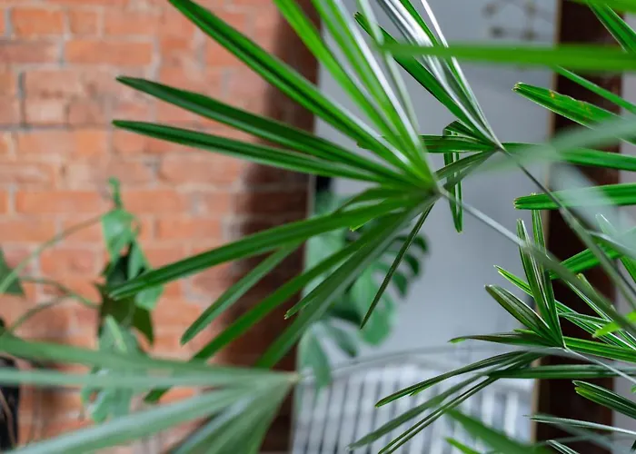 Jungle House Luxury Homes - Downtown Short North - Steps To Convention Center & Nationwide Arena - Sleeps Up To 10 - Free Parking - Over 5,800 Five Stars
